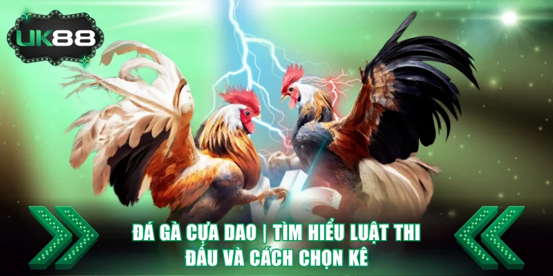 Đá Gà Cựa Dao UK88 | Tìm Hiểu Luật Thi Đấu Và Cách Chọn Kê 4 Đá Gà Cựa Dao
