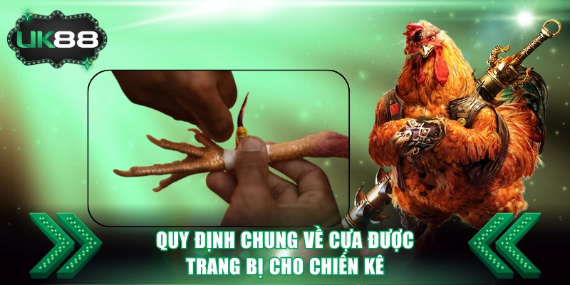 Đá Gà Cựa Sắt UK88 - Luật Chọi Kê Cụ Thể Và 3 Cửa Cược Hot 4 Quy định chung về cựa được trang bị cho chiến kê