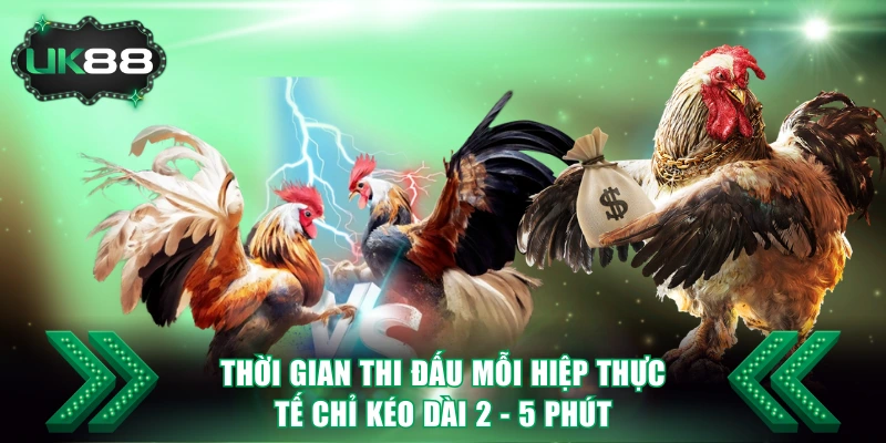Đá Gà Cựa Sắt UK88 - Luật Chọi Kê Cụ Thể Và 3 Cửa Cược Hot 3 Thời gian thi đấu mỗi hiệp thực tế chỉ kéo dài 2 - 5 phút